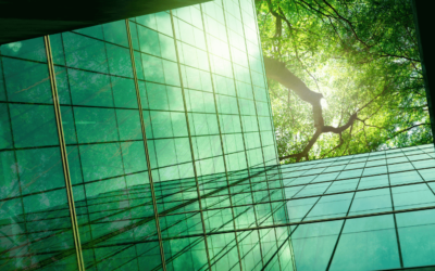 Segregacja odpadów na dużą skalę: Jak to zorganizować na imprezie?