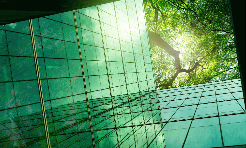 Jak wpleść elementy edukacji ekologicznej w program imprezy?