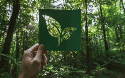 Zero Waste na evencie: Praktyczny przewodnik krok po kroku