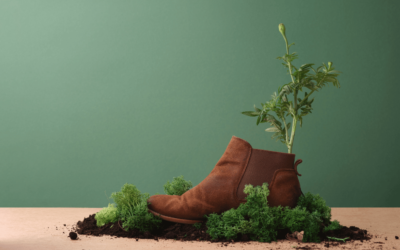 Jak wybrać dostawców i partnerów, którzy dbają o środowisko?